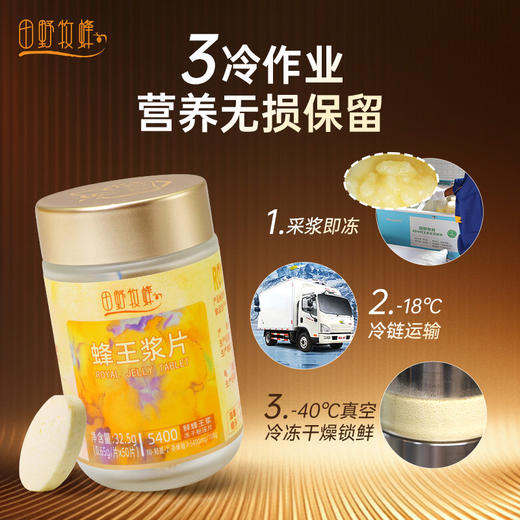 田野牧蜂蜂王浆片礼盒送长辈领导礼物蜂王浆冻干粉含片50粒/瓶 商品图4