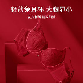 芬腾女士内衣记忆软钢圈红色蕾丝网纱文胸大胸显小上托防下垂胸罩
