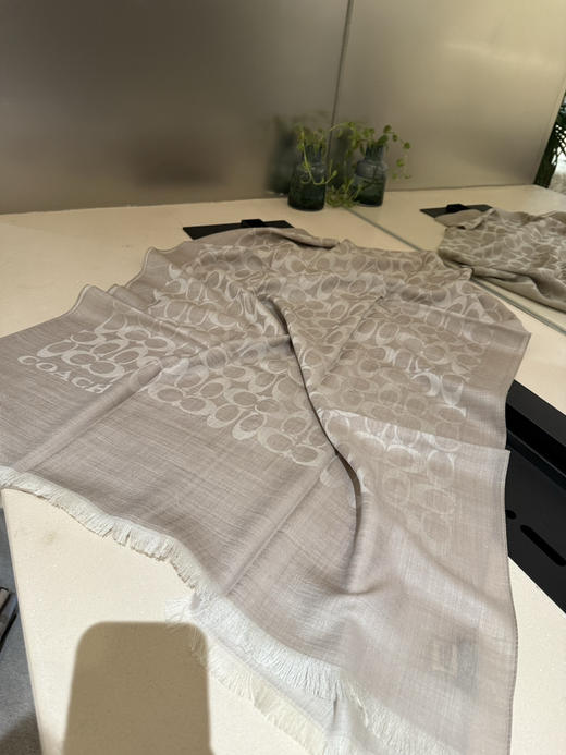 秋冬特惠💰320 蔻驰经典款围巾/大披肩 商品图2