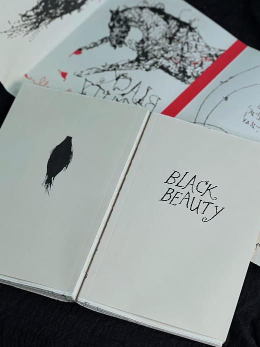 黑骏马·10周年纪念版（浮雕印刷封面毛边书）【企鹅手绣10周年纪念版系列中唯一且绝版】 商品图5