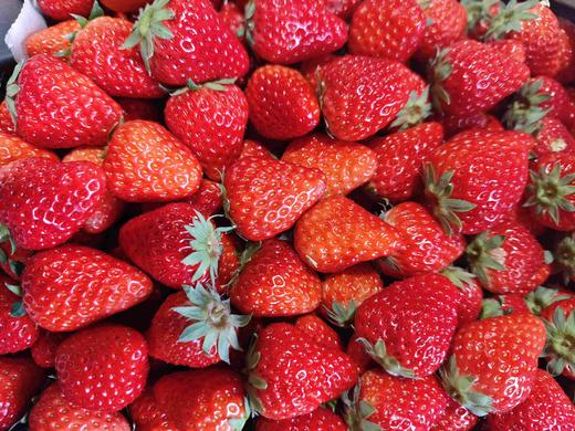 本地红颜草莓 商品图1
