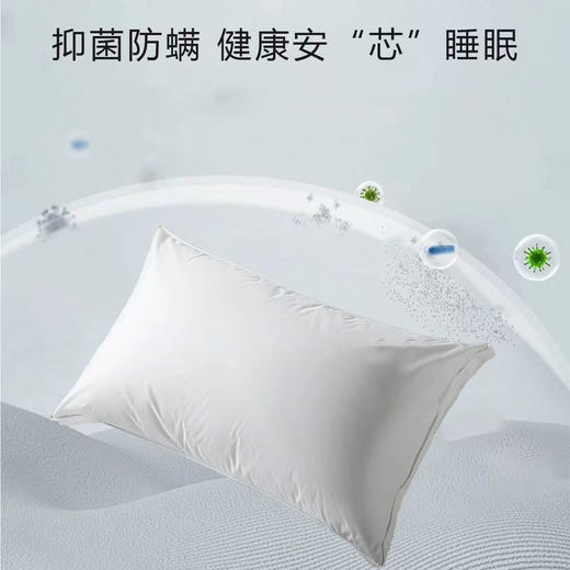 星级酒店鹅绒枕芯单人家用护颈椎不塌陷一只装 商品图4