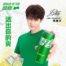 【金皇会员65金币专享】可口可乐（Coca-Cola）檀健次代言 雪碧Sprite柠檬味碳酸饮料 330ml*24摩登罐