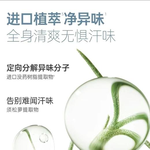 袋鼠妈妈沐浴露青少年舒润净透沐浴露清洁清爽保湿补水除螨持久留香380ml 商品图8