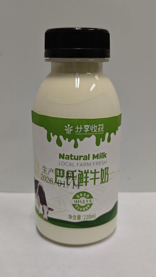 【买就送】巴氏牛奶包邮 |  醇香浓厚 | 石嫣农场*Pasteurized milk 商品图2