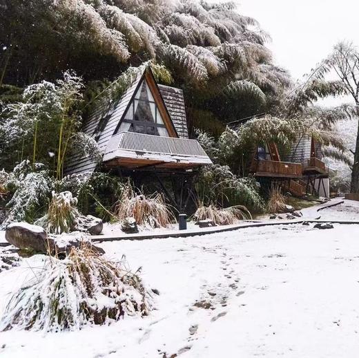【浙江余姚】树蛙部落寒假早鸟直降特惠套餐3天2晚 竹海冬塾 商品图1