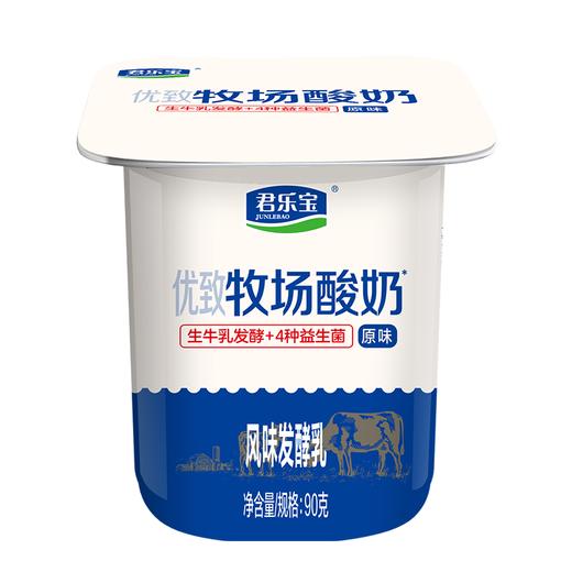 君乐宝优质牧场原味90g*16酸奶 商品图2