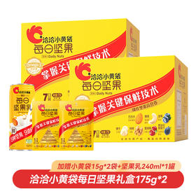 【一次到手5件】洽洽小黄袋每日坚果礼盒175g*2盒（下单加赠小黄袋15g*2袋+坚果乳240ml*1）健康零食