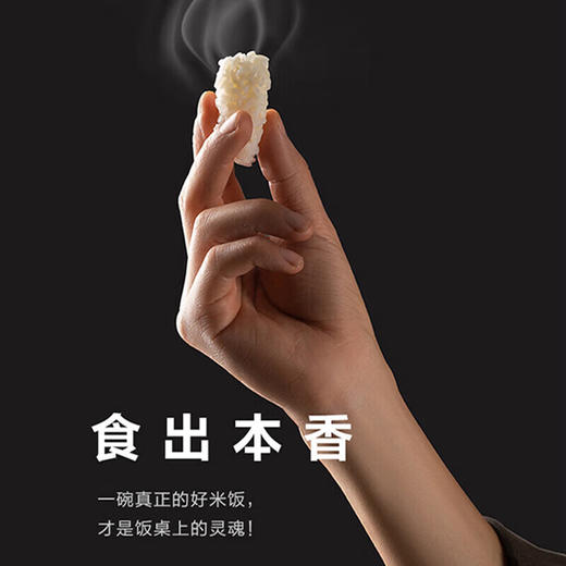 苏泊尔远红外球釜IH电饭煲SF50HC82 商品图7