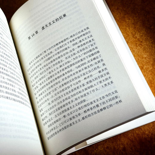 虚无主义与形而上学 虚无主义批判译丛 维托里奥·波森蒂 六点图书 商品图11