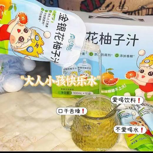 南园国色  金银花柚子汁 儿童零食 商品图4