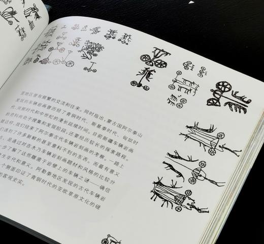 【绝版】《草原民族文化的灵魂：新疆草原文化遗址考察》，24开平装，铜版彩印，张平编著，新疆人民出版社2006年一版一印，232面，定价38.8元，售价30元。 商品图12