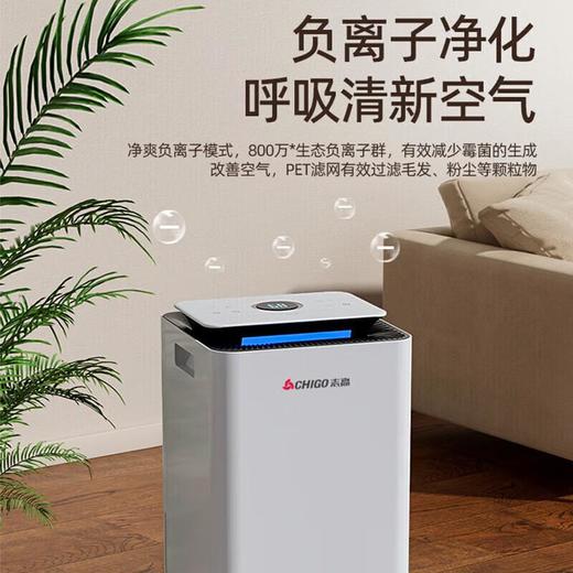 志高大功率除湿机家用除湿器地下室工业抽湿机吸湿器回南天干燥机 商品图3