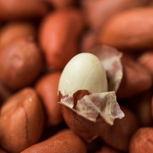 东北红皮花生 优选当季新生产 纯净无杂质 自然晾晒 甘甜清香 口味鲜美 颗粒饱满 商品图3