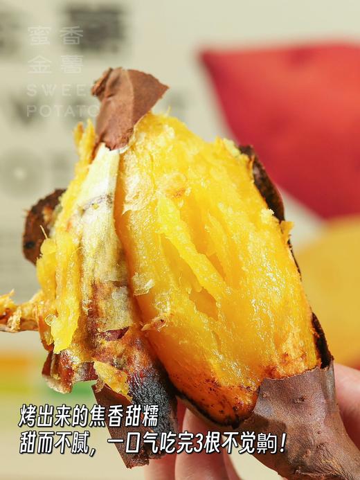 【包邮】燕山山脉 蜜香金薯 番薯甜度可达55度 肉黄心明亮！皮薄，轻松可撕 商品图3