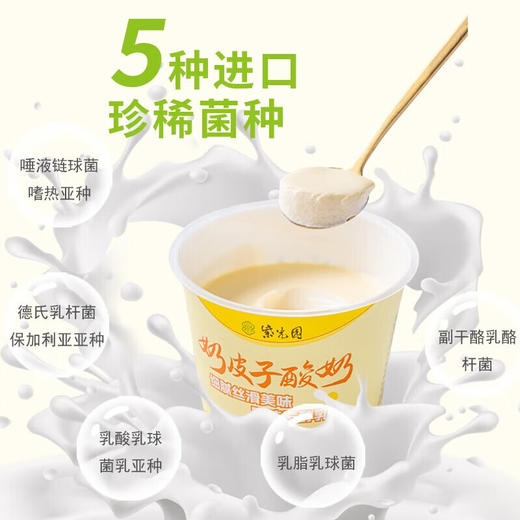 紫光园奶皮子酸奶北京特产酸奶节日送礼120g *7盒 商品图1