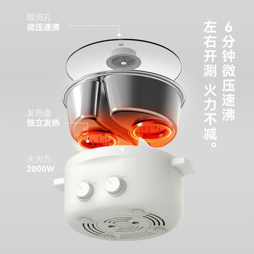 olayks立时不锈钢6升大容量电火锅家用鸳鸯双区双控多功能 商品图3