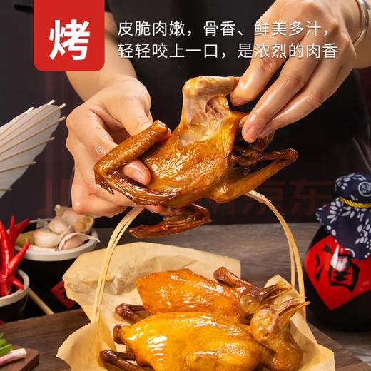 【1只装】自提-5~6两/只（不含内脏）天翔达 新鲜现杀-农家散养活力乳鸽 真空冷链锁鲜发货   JHA031-1 商品图4