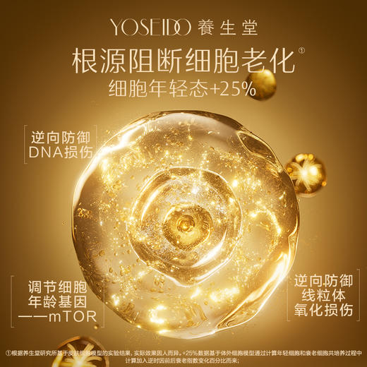 【双十一新品特惠内购】冬孕精华露（净颜焕肤）II 3ml28瓶 商品图3