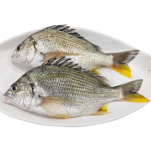 新年海鲜礼盒 商品图7