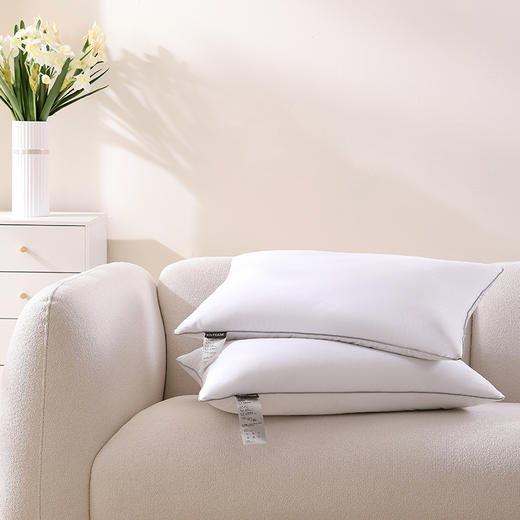 【春上新】10楼宜庭 零感释压白鹅枕     吊牌价999元  活动价199元/对 商品图3