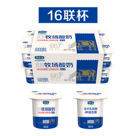 君乐宝优质牧场原味90g*16酸奶