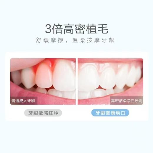 小浣熊成人万毛牙刷粉（条码6924975899893） 商品图2