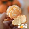 广西漓江生态砂糖橘 自然生长风味浓 9甜1酸  顺丰快递 商品缩略图11