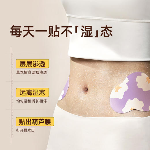 陈艾草本肚脐贴 | 无湿一身轻 草本植萃 深入肌理 排出积存 清爽畅轻 商品图5