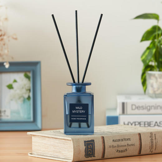 藤条无火室内扩香房间卧室卫生间香薰 乔治 商品图5