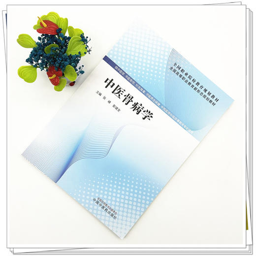 中医骨病学 张峰 彭建中 主编 全国高等职业教育新形态规划教材 中国中医药出版社 商品图1