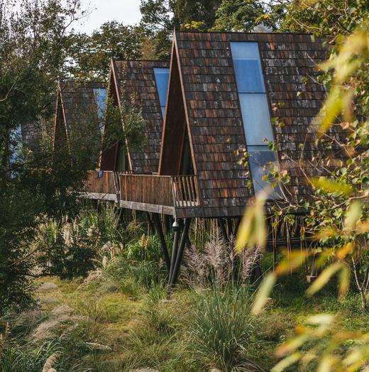 【四川泸州】树蛙部落寒假早鸟直降特惠套餐3天2晚 川江酝冬 商品图3