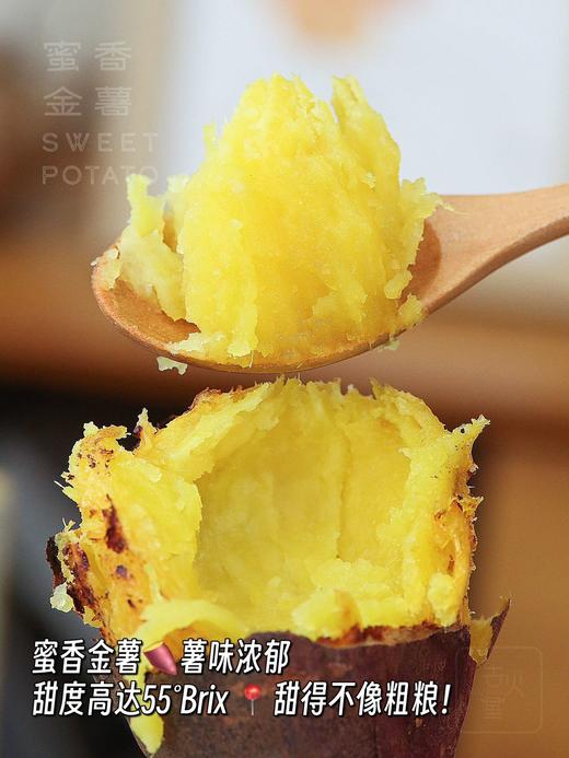 【包邮】燕山山脉 蜜香金薯 番薯甜度可达55度 肉黄心明亮！皮薄，轻松可撕 商品图2