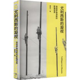 尤利西斯的凝视：安哲罗普洛斯的影像世界