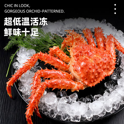 【顺丰快递】熟冻帝王蟹礼盒 肉质肥美 蟹中帝王 肉质肥厚 蟹腿饱满 超低温熟冻 鲜味十足 BHFT 商品图1