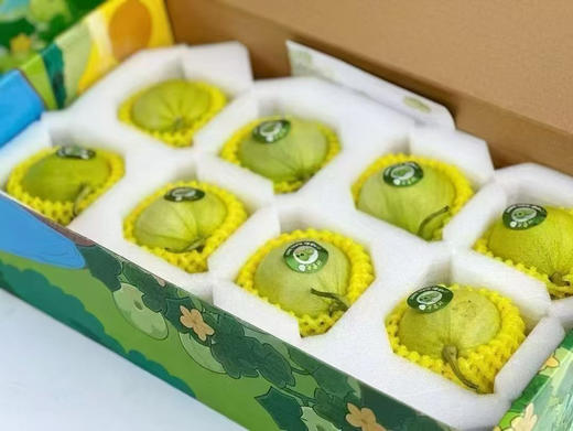 马连庄小甜瓜
皮薄脆嫩，自带蜜香，果肉细腻无渣，连籽都软绵香甜，真正的瓜中珍品[玫瑰] 商品图4