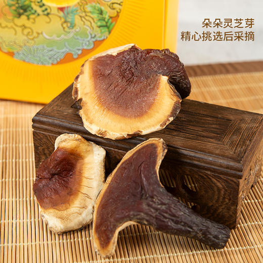 【99元2盒】滋仙草有机灵芝芽 商品图2