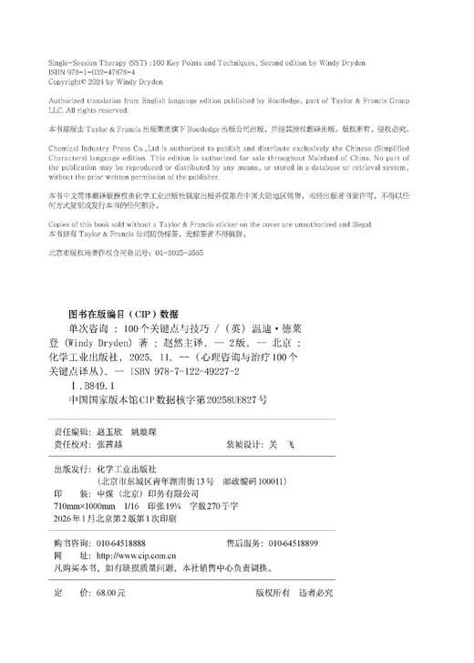 单次咨询：100 个关键点与技巧（原著第二版） 商品图7