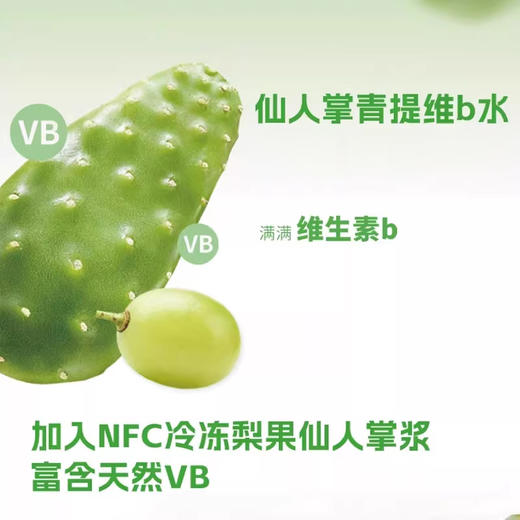 碧山村仙人掌青提维B水500ml*5瓶NFC冷冻梨果仙人掌浆清爽解腻 商品图2