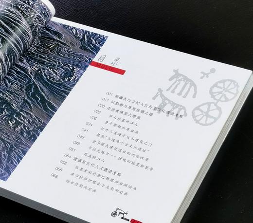 【绝版】《草原民族文化的灵魂：新疆草原文化遗址考察》，24开平装，铜版彩印，张平编著，新疆人民出版社2006年一版一印，232面，定价38.8元，售价30元。 商品图3