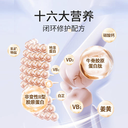 【华北制药】升级新配方-非变性II型骨胶原蛋白特殊膳食~ 商品图3