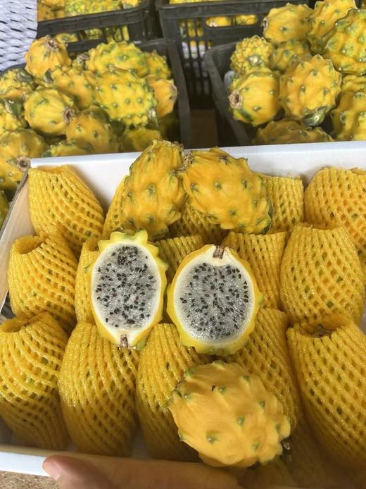 【黄金燕窝果】十大豪奢水果之一！长在树上的“冰糖燕窝”➡️口感嫩滑清甜，多汁爽口 商品图1