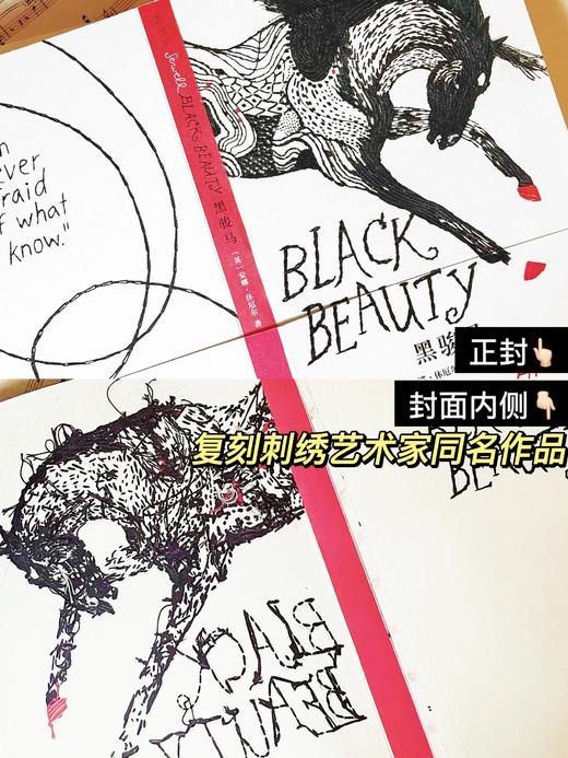 黑骏马·10周年纪念版（浮雕印刷封面毛边书）【企鹅手绣10周年纪念版系列中唯一且绝版】 商品图3
