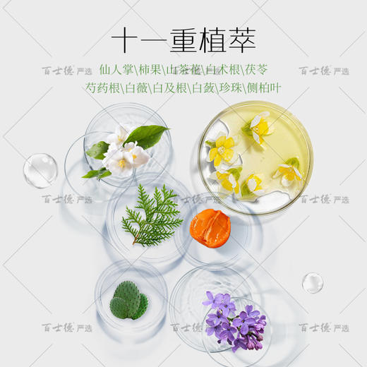 Eco Basics山茶花植萃滋润香氛柔顺洗发水沐浴露护发素 酒店同款 商品图2