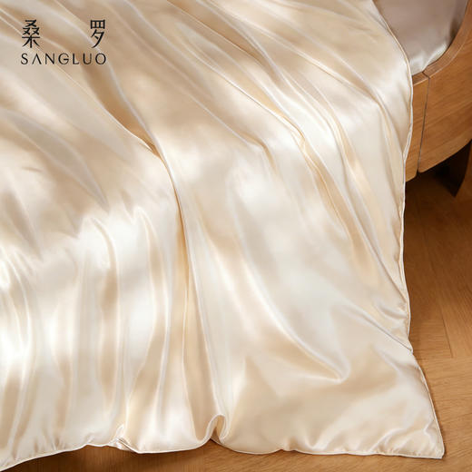 【新年焕新送礼】桑罗手工蚕丝被子母被静音零压亲肤好睡（连胎套都是奢侈的） 商品图2