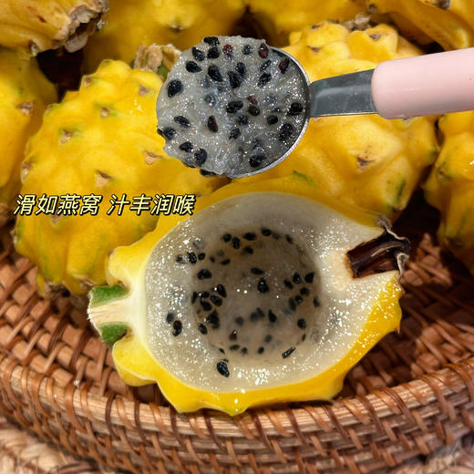 【黄金燕窝果】十大豪奢水果之一！长在树上的“冰糖燕窝”➡️口感嫩滑清甜，多汁爽口 商品图2