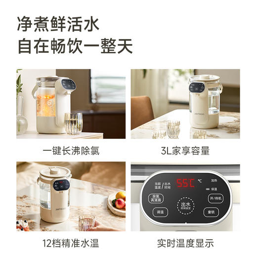 德国Zemkon电热水瓶恒温饮水机 商品图3