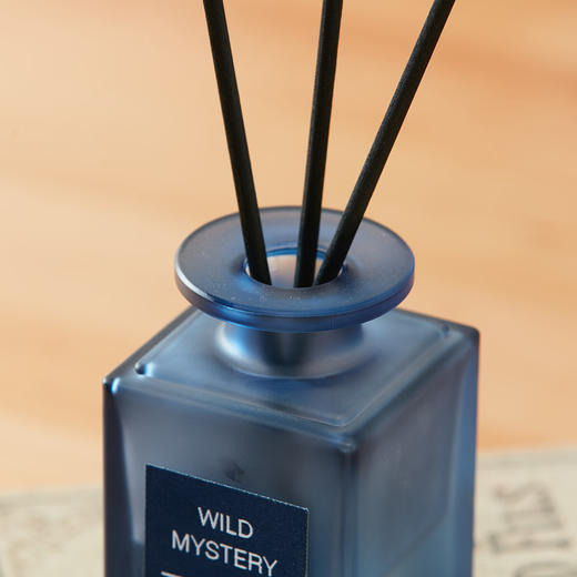 藤条无火室内扩香房间卧室卫生间香薰 乔治 商品图9