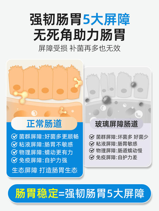 MDC酪酸菌20粒/袋 商品图3