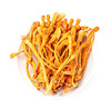东山岛丨虫草花  100g 商品缩略图2